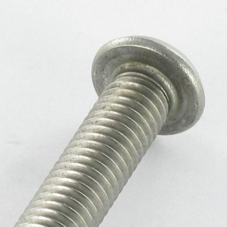 1 x Tornillo metales Seguridad Cabeza Abombada con Hueco hexagonal con tetón M8X16 Inoxidable A2