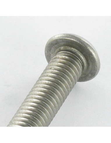 1 x Tornillo metales Seguridad Cabeza Abombada...