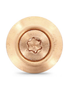 Tornillo de cresta cabeza fresada abombada TORX T20... 2