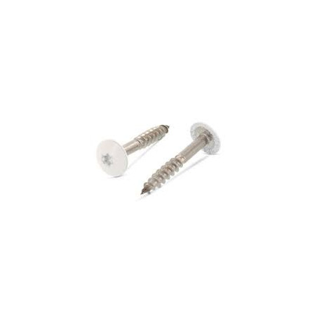 1 x Tornillo de fachada TORX T20 5.5X32 diámetro de cabeza: 12.3 Inoxidable A2 RAL9010 blanco puro