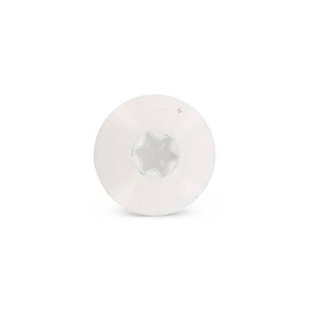1 x Tornillo de fachada TORX T20 5.5X32 diámetro de cabeza: 12.3 Inoxidable A2 RAL9010 blanco puro