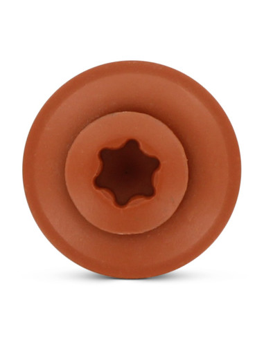 1 x Tornillo de cresta cabeza fresada abombada...