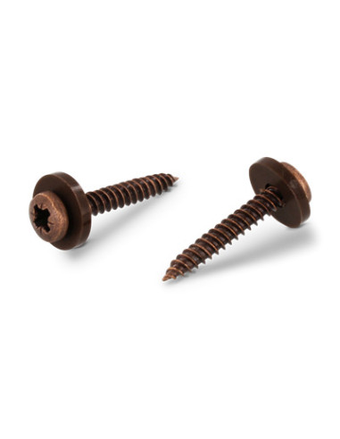 1 x Tornillo chapa cabeza cilíndrica Pozi PZ4 +...