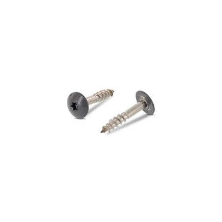 1 x Tornillo de fachada TORX T20 4.8X25 diámetro de cabeza: 12.3 Inoxidable A2 RAL7012 gris basalto