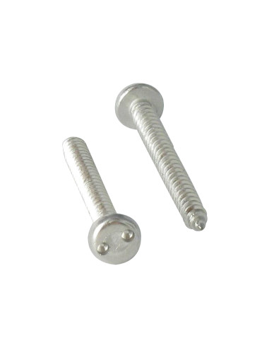 1 x Tornillo chapa Seguridad cabeza cilíndrica...