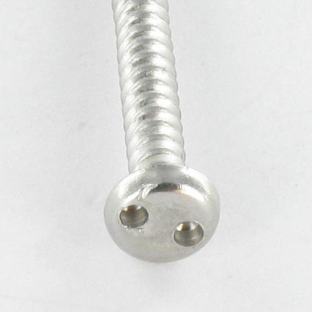 1 x Tornillo chapa Seguridad cabeza cilíndrica SNAKE EYES 4.2X25 Inoxidable A2