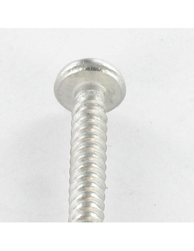 1 x Tornillo chapa Seguridad cabeza cilíndrica...