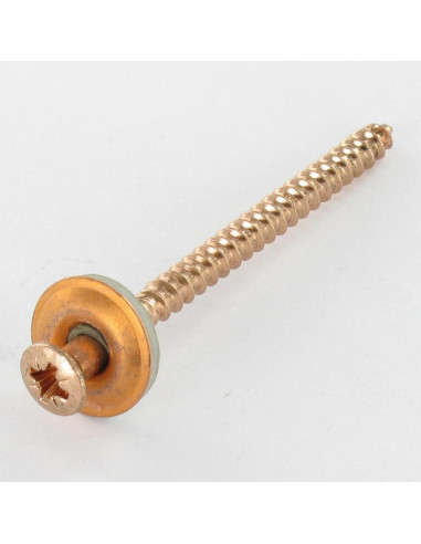 1 x Tornillo de cresta cabeza fresada abombada...