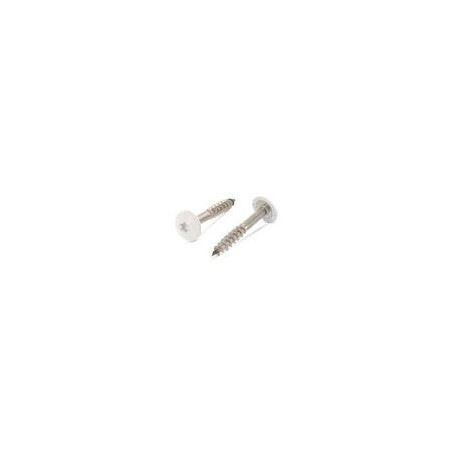 1 x Tornillo de fachada TORX T20 4.8X32 diámetro de cabeza: 12.3 Inoxidable A2 RAL1013 blanco perla
