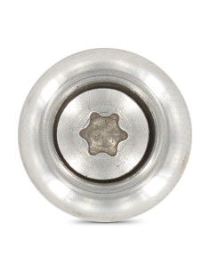 Tornillo de cresta cabeza fresada abombada TORX T20... 2