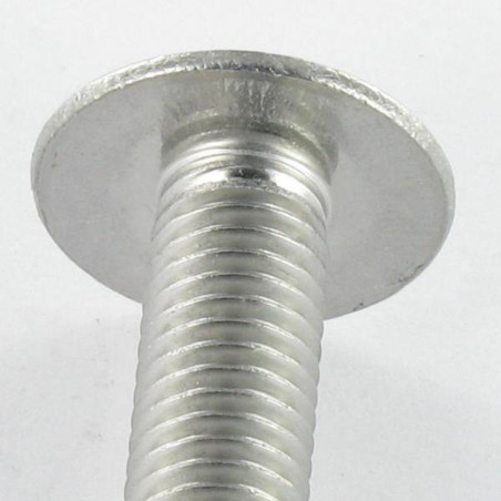 1 x Tornillo poelier cabeza redonda ancha ranura Inoxidable A2 M5X30