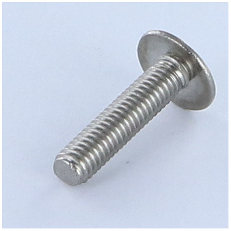1 x Tornillo poelier cabeza redonda ancha ranura Inoxidable A2 M5X35