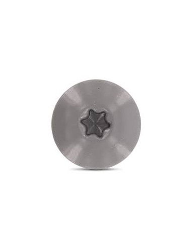 1 x Tornillo de fachada TORX T20 5.5X38...