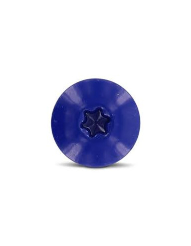1 x Tornillo de fachada TORX T20 4.8X25...