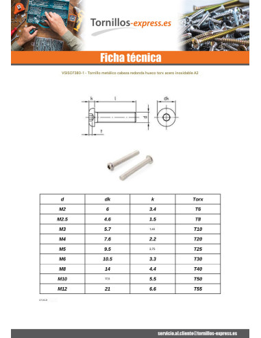1 x Tornillo metales cabeza abombada TORX T40...