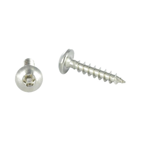 1 x Tornillo pernio Seguridad TORX T30 con tetón 6X40 Inoxidable A2