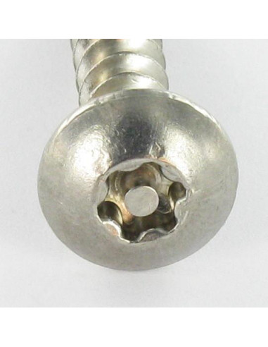 1 x Tornillo pernio Seguridad TORX T30 con...