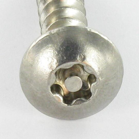 1 x Tornillo pernio Seguridad TORX T30 con tetón 6X40 Inoxidable A2