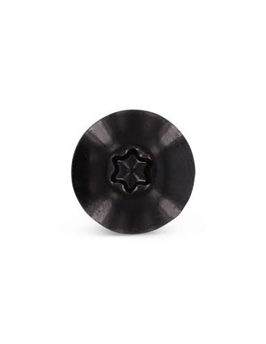 1 x Tornillo de fachada TORX T20 4.8X38...