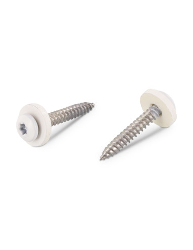 1 x Tornillo chapa cabeza cilíndrica TORX T15 +...