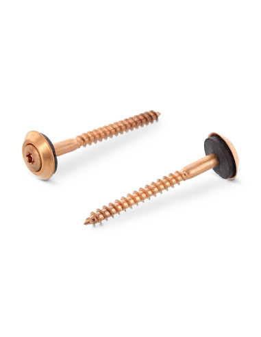1 x Tornillo de cresta cabeza fresada abombada...