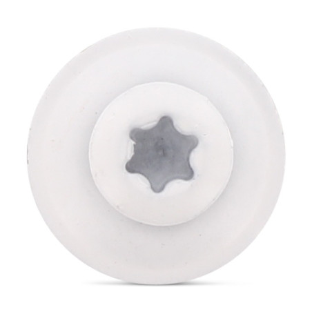 1 x Tornillo de cresta cabeza fresada abombada TORX T20 Inoxidable A2 RAL9010 blanco puro 4.5X60 Arandela de estanqueidad