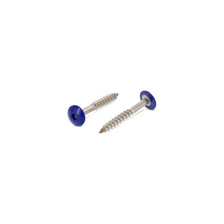 1 x Tornillo de fachada TORX T20 4.8X32 diámetro de cabeza: 12.3 Inoxidable A2 RAL5002