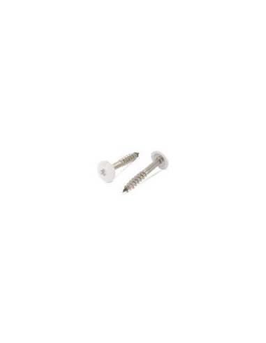 1 x Tornillo de fachada TORX T20 4.8X25...