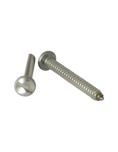 1 x Tornillo chapa Seguridad cabeza cilíndrica...