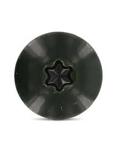 Tornillo de fachada TORX T20 4.8X38 diámetro de cabeza:... 2