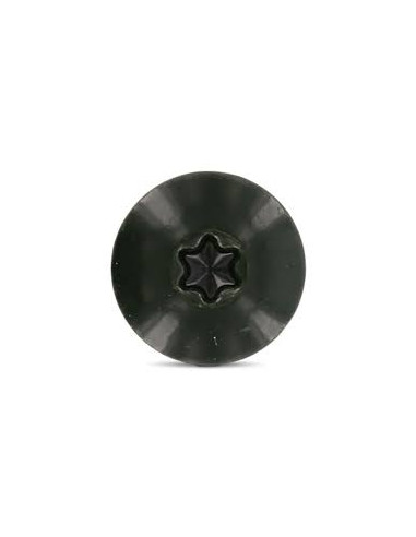1 x Tornillo de fachada TORX T20 4.8X38...