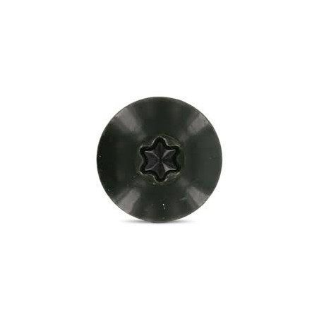1 x Tornillo de fachada TORX T20 4.8X38 diámetro de cabeza: 12.3 Inoxidable A2 RAL6009 verde abeto