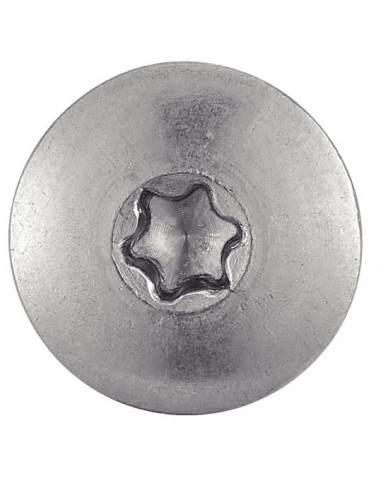 1 x Tornillo de fachada TORX T20 5.5X35...