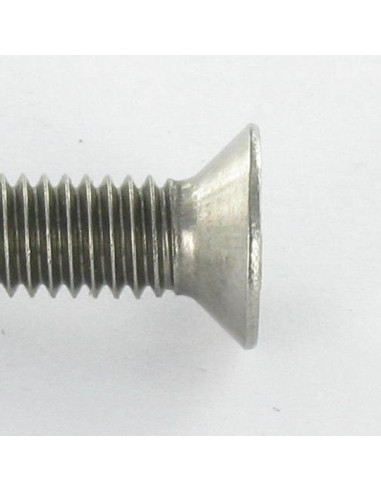 1 x Tornillo metales Seguridad cabeza...