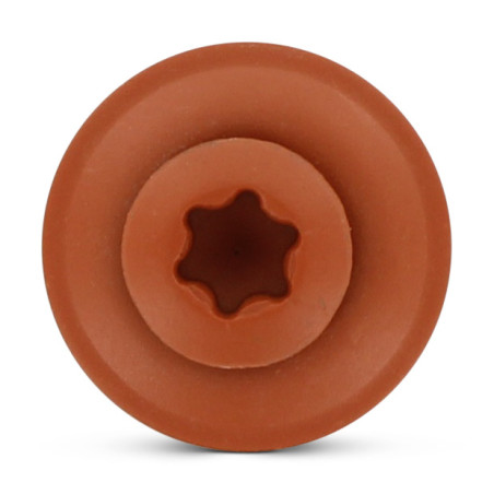 1 x Tornillo de cresta cabeza fresada abombada TORX T20 Inoxidable A2 RAL8004 marrón cobre 4.5X100RD.EPDM