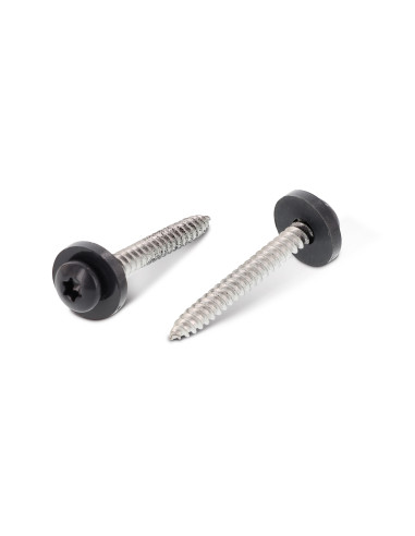 1 x Tornillo chapa cabeza cilíndrica TORX T15 +...