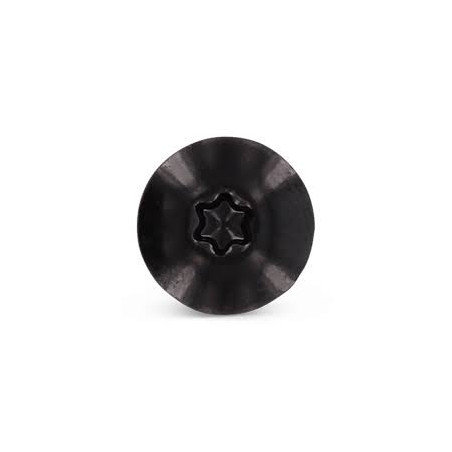 1 x Tornillo de fachada TORX T20 4.8X25 diámetro de cabeza: 12.3 Inoxidable A2 RAL9005 negro intenso