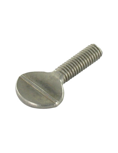 1 x Tornillo VIOLÍN M5X20 Inoxidable A2