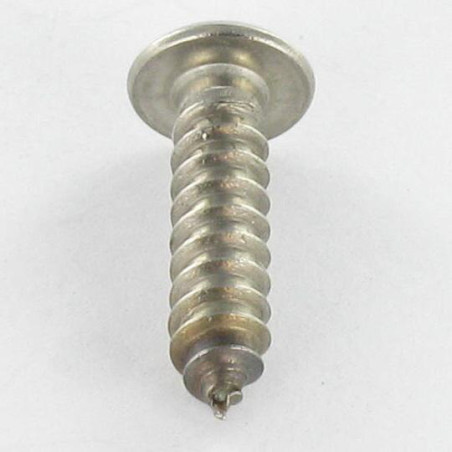 1 x Tornillo chapa Seguridad Inoxidable A2 cabeza cilíndrica TORX T25 con tetón 4.8X38