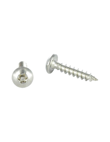 1 x Tornillo pernio Seguridad TORX T30 con...