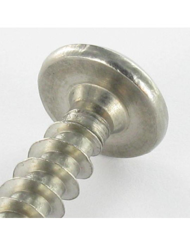 1 x Tornillo pernio Seguridad TORX T30 con...