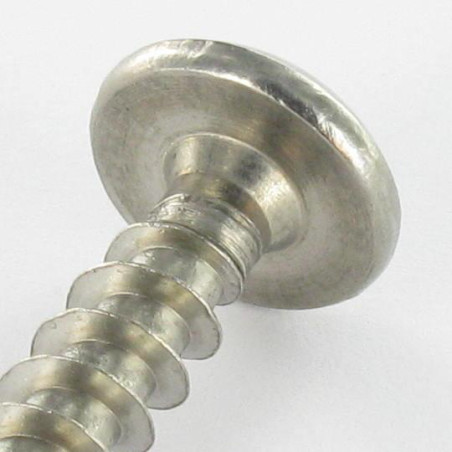 1 x Tornillo pernio Seguridad TORX T30 con tetón 6X30 Inoxidable A2