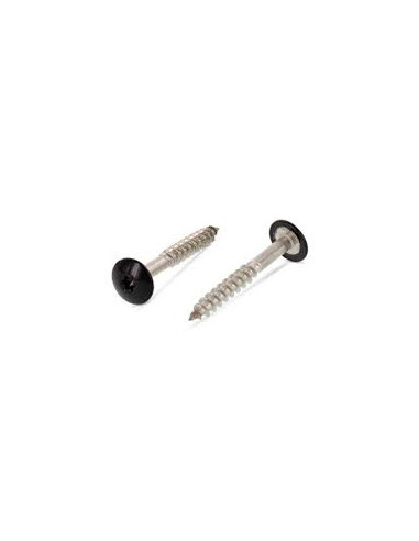 1 x Tornillo de fachada TORX T20 5.5X38...