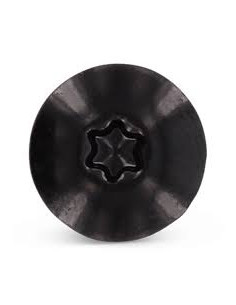 Tornillo de fachada TORX T20 5.5X38 diámetro de cabeza:... 2
