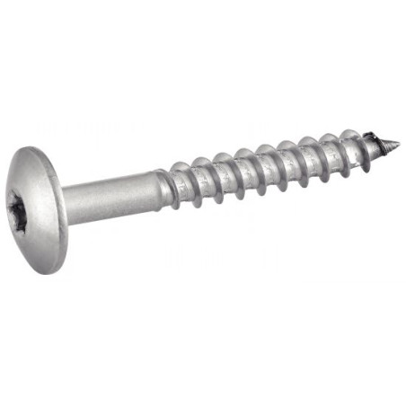 1 x Tornillo de fachada TORX T20 5.5X55 diámetro de cabeza: 12.3 Inoxidable A2