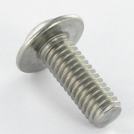 1 x Tornillo metales cabeza abombada resalto reborde TORX T30 M6X8 roscado total Inoxidable A2