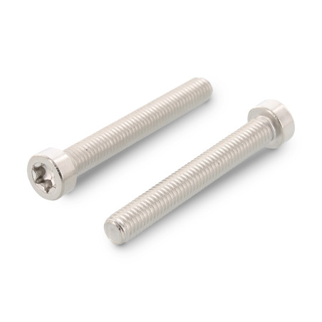 1 x Tornillo metales cabeza cilíndrica baja TORX T45 M8X55 roscado en 38 Inoxidable A2