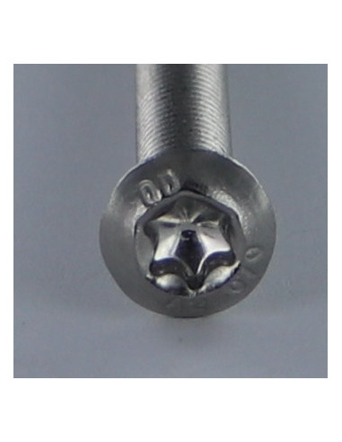 1 x Tornillo metales cabeza abombada TORX T50...