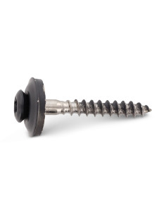 Tornillo de cresta cabeza fresada abombada TORX T20... 2