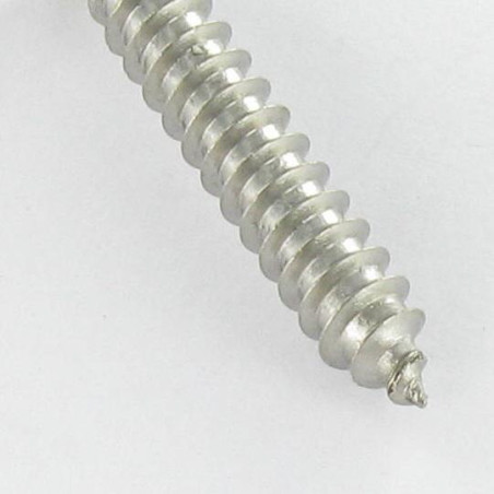 1 x Tornillo chapa Seguridad cabeza fresada/testa svasat SNAKE EYES 4.8X38 Inoxidable A2